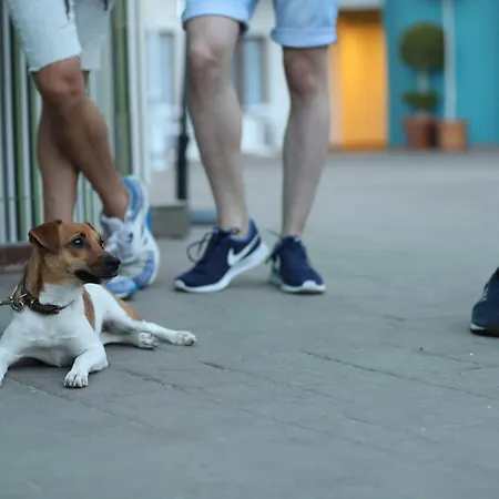 Готель Ritual Maspalomas - Adults Only