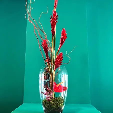 Ritual Maspalomas - Adults Only Hotel Playa del Ingles (Gran Canaria)