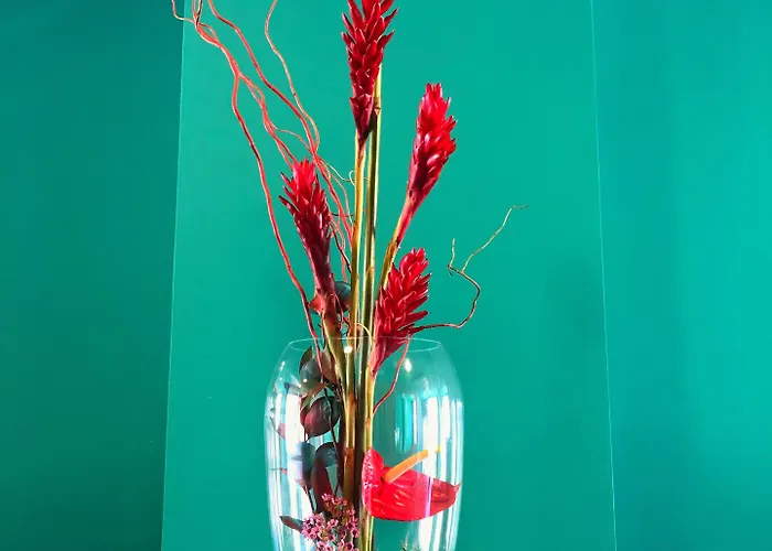 Ritual Maspalomas - Adults Only ホテル プラヤ・デル・イングレス