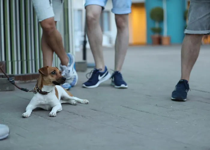 Готель Ritual Maspalomas - Adults Only